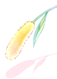 image_6817fb7f589e15.60218417.png
