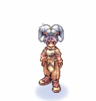image_6818058da15e42.78440566.gif